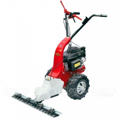Бензиновая сенокосилка Eurosystems Minieffe 502 RM B&S 625EXi в Краснодаре