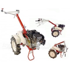 Мотоблок Фаворит МБ с двигателем Robin-Subaru EX21D 7,0 л.с. (Фрезы в комплекте) в Краснодаре