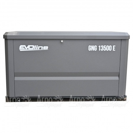 Газовый генератор EVOline GNG 13500 E 12 кВт в Краснодаре