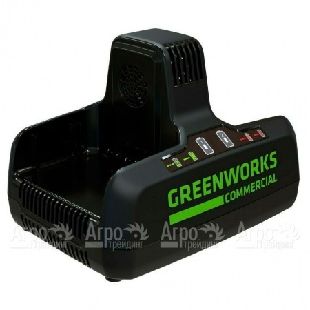 Быстрое зарядное устройство GreenWorks G82C2  в Краснодаре