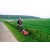 Косилка для высокой травы Tielbuerger T500 в Краснодаре